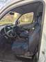 Citroen Berlingo Berlingo 600 1.9 D TOP Blanc - thumbnail 8