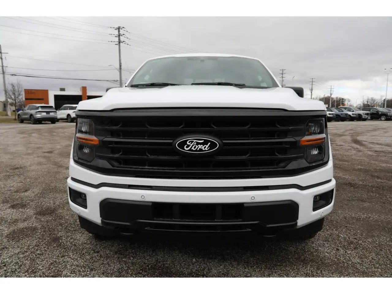 Ford F 150 снимка Ford F 150