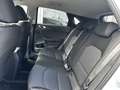 Kia Ceed / cee'd Cee'd SILBER 1.5 TGDI P2 Bianco - thumbnail 12