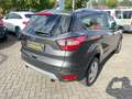 Ford Kuga Trend Grau - thumbnail 4