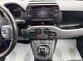 Fiat Panda 1.0 firefly hybrid Sport s&s 70cv 5p. Gris - thumbnail 15