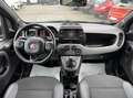 Fiat Panda 1.0 firefly hybrid Sport s&s 70cv 5p. Gris - thumbnail 14