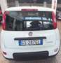 Fiat Panda 1.0 FireFly S&S Hybrid Blanc - thumbnail 4