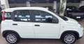 Fiat Panda 1.0 FireFly S&S Hybrid Blanc - thumbnail 2