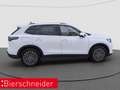 Volkswagen Tiguan 1.5 eTSI DSG Life AHK ACC NAVI LED Weiß - thumbnail 9