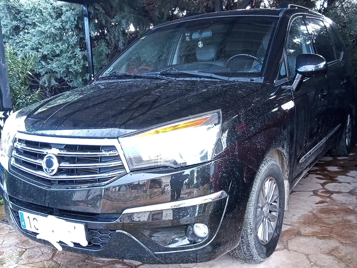 SsangYong Rodius Rodius 255 Xdi Negro - 1