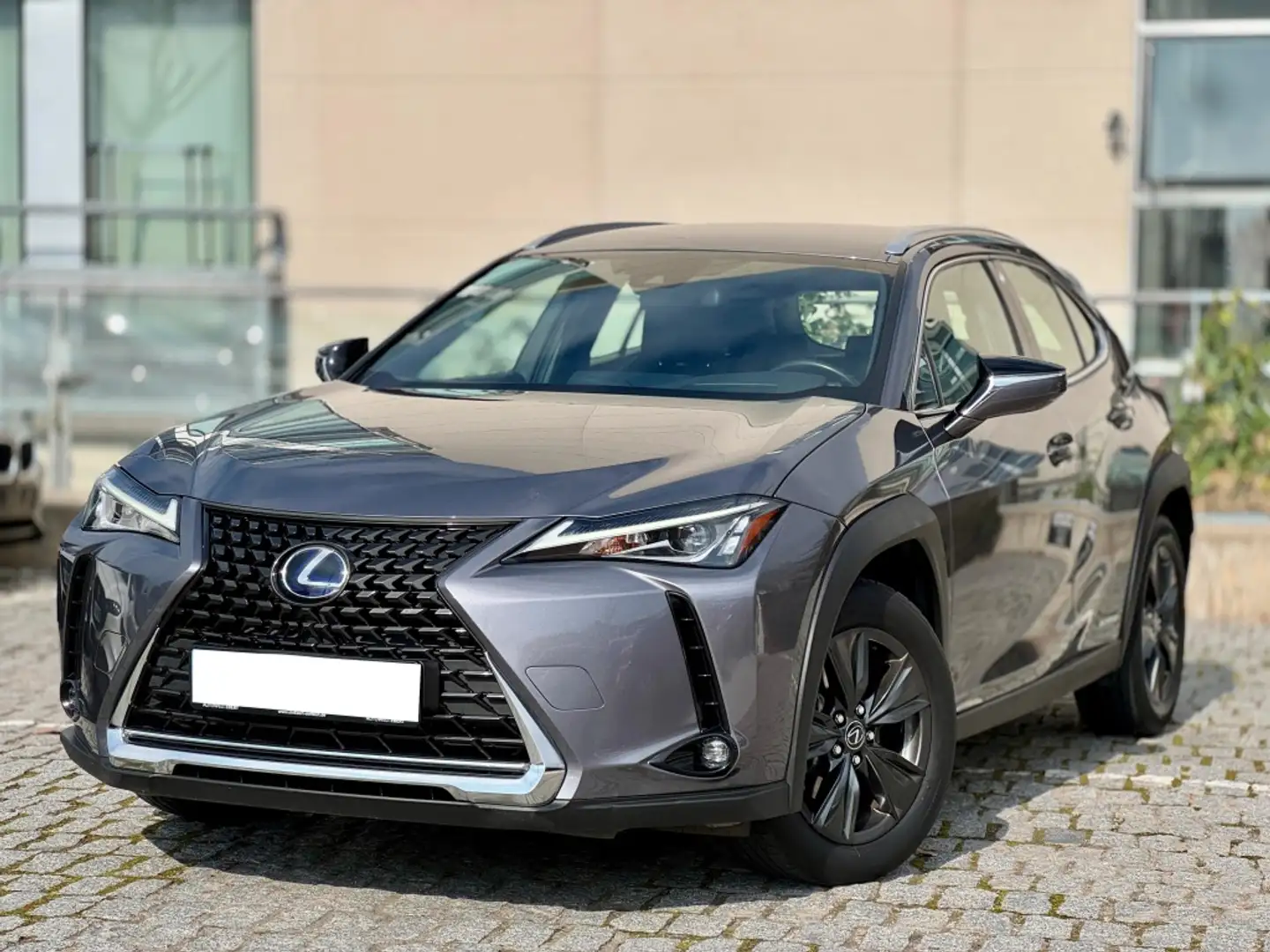 Lexus UX 250h Executive Plus 2WD Gris - 1