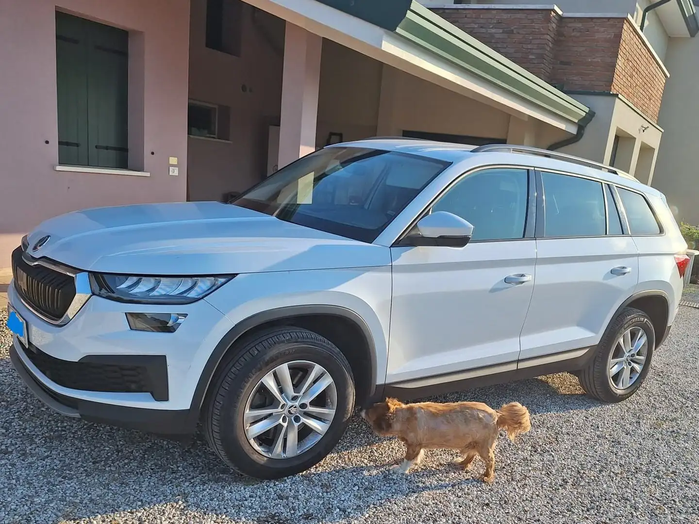 Skoda Kodiaq 7 posti 4x4 110 kw Bianco - 1