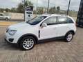 Opel Antara Antara 2.2 CDTI 163CV Start&Stop Cosmo Blanc - thumbnail 27