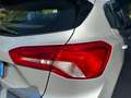 Ford Focus 5 Porte 1.5 EcoBlue Plus Argent - thumbnail 11