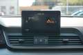 Audi Q5 35 TDI quattro S-Tronic Bi-Xenon AHK USB AUX Weiß - thumbnail 13