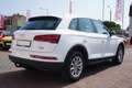 Audi Q5 35 TDI quattro S-Tronic Bi-Xenon AHK USB AUX Weiß - thumbnail 5