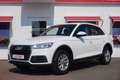 Audi Q5 35 TDI quattro S-Tronic Bi-Xenon AHK USB AUX Weiß - thumbnail 2
