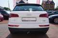 Audi Q5 35 TDI quattro S-Tronic Bi-Xenon AHK USB AUX Weiß - thumbnail 4