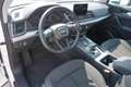 Audi Q5 35 TDI quattro S-Tronic Bi-Xenon AHK USB AUX Weiß - thumbnail 9