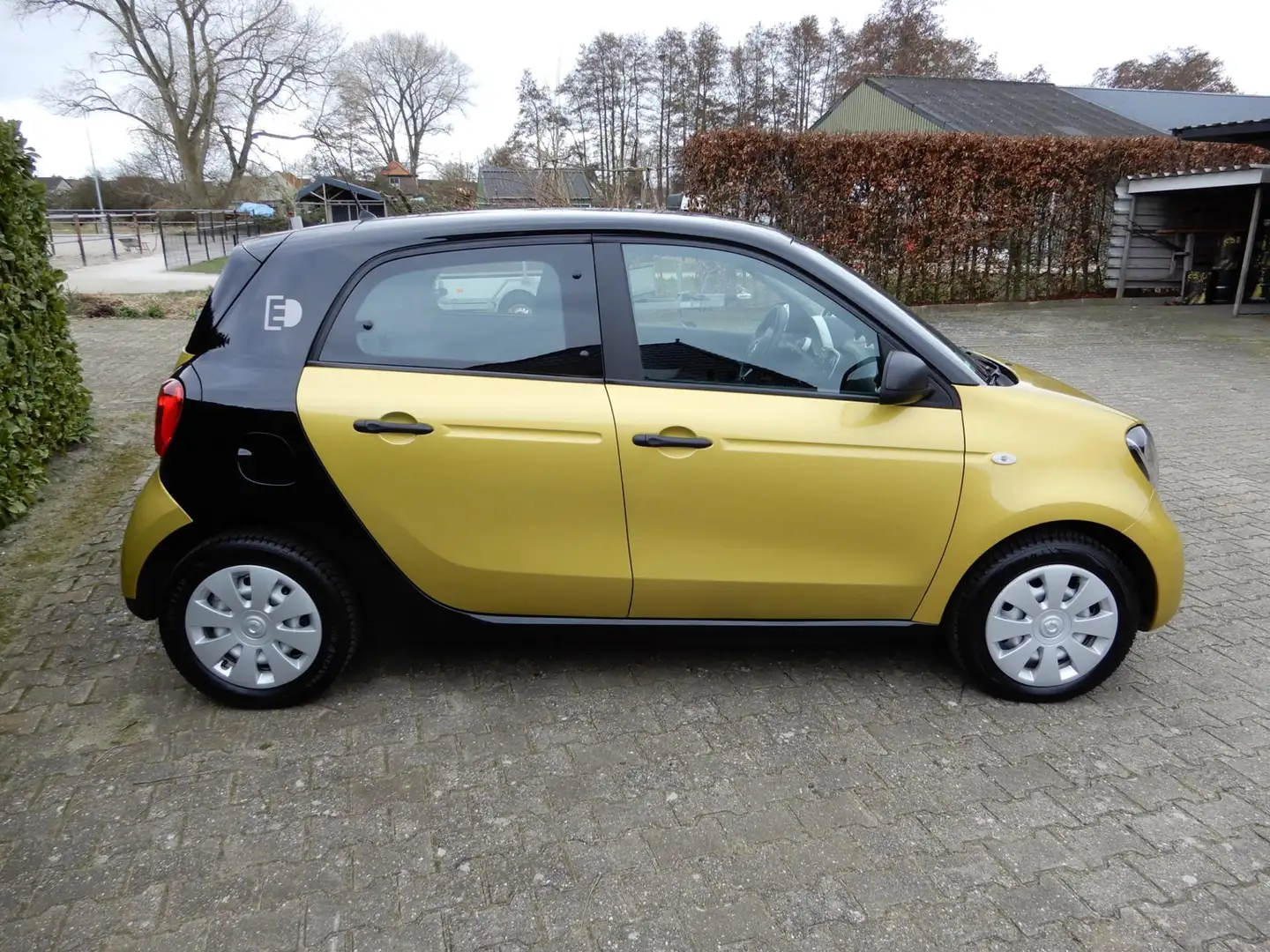 smart forFour Electric drive perfect Amarillo - 2