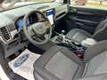 Ford Ranger 2.0 TDCI 170cv 4x4 - 4 POSTI PRONTA CONSEGNA!!! Bianco - thumbnail 13