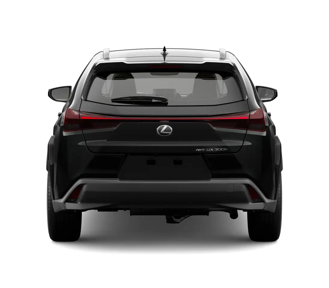 Lexus UX 300h снимка Lexus UX 300h