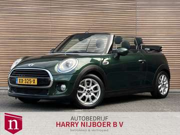 Mini 1.5 Pepper Serious Business Navi / PDC / Stoe