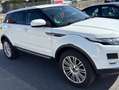 Land Rover Range Rover Evoque Range Rover Evoque TD4 Pure - thumbnail 3