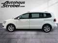 Volkswagen Sharan 2.0 TDI DSG 4M Highline 5-Sitzer ACC XENO Blanc - thumbnail 4
