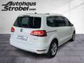 Volkswagen Sharan 2.0 TDI DSG 4M Highline 5-Sitzer ACC XENO Blanc - thumbnail 6