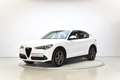 Alfa Romeo Stelvio 2.2 Sprint Q4 190 Aut. Blanco - thumbnail 1