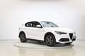 Alfa Romeo Stelvio 2.2 Sprint Q4 190 Aut. Blanco - thumbnail 7