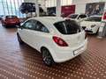 Opel Corsa 1.3 CDTI 75CV F.AP. 3 porte Elective Wit - thumbnail 6