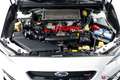 Subaru Impreza WRX STI Limo / Servicegepflegt / TOP Білий - thumbnail 30