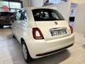 Fiat 500 1.0 HYBRID 70CV KM. CERTIFICATI UNICO PROPRIETARIO Bianco - thumbnail 9