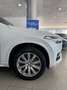 Volvo XC90 D5 Momentum 5pl. AWD 235 Aut. Blanc - thumbnail 7