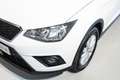 SEAT Arona 1.0 TSI ECOMOTIVE 95 CV Bianco - thumbnail 12