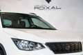 SEAT Arona 1.0 TSI ECOMOTIVE 95 CV Bianco - thumbnail 9
