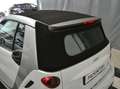 smart forTwo 1000 52 kW MHD cabrio passion Ok Neopatentati Bianco - thumbnail 15