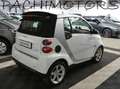 smart forTwo 1000 52 kW MHD cabrio passion Ok Neopatentati Bianco - thumbnail 12