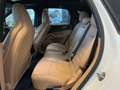 Porsche Cayenne S Pano. Soft Close Luftfederung Tempomat Weiß - thumbnail 16
