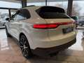 Porsche Cayenne S Pano. Soft Close Luftfederung Tempomat Weiß - thumbnail 10
