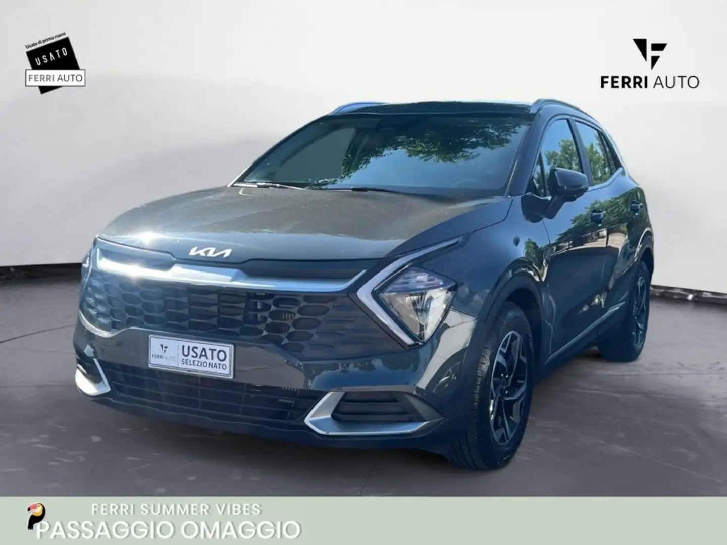 Kia Sportage 1.6 CRDi MHEV Business Gris - 1