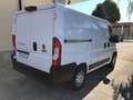 Fiat Ducato 30 CH1 2.3 Multijet 140CV E6D-temp Bianco - thumbnail 5