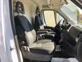 Fiat Ducato 30 CH1 2.3 Multijet 140CV E6D-temp Bianco - thumbnail 8