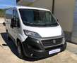 Fiat Ducato 30 CH1 2.3 Multijet 140CV E6D-temp Bianco - thumbnail 2