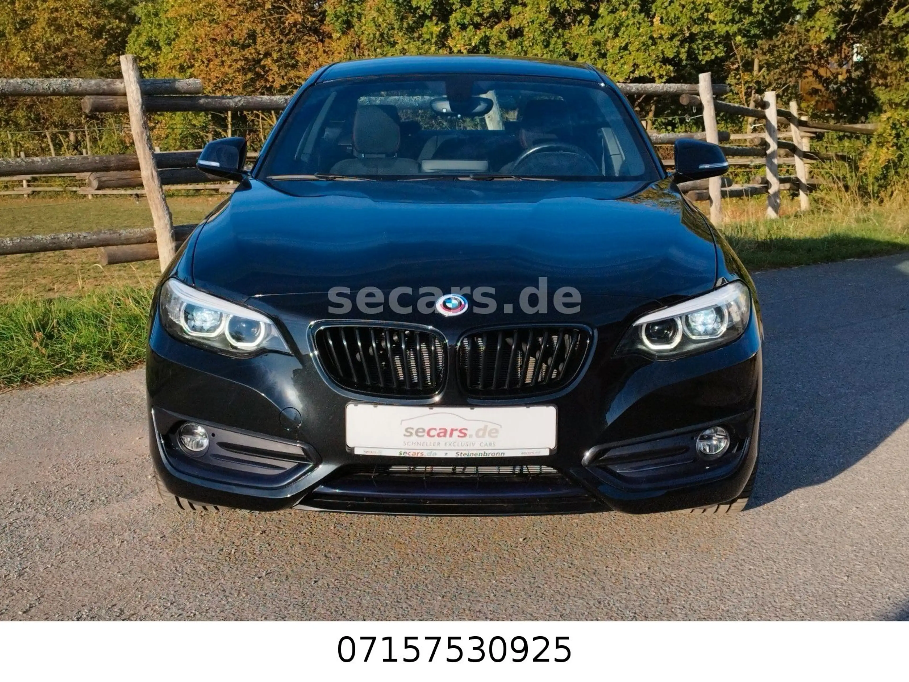BMW 220 i Coupé Aut SportL NaviPro RFK 18" LED Alarm — photo 2