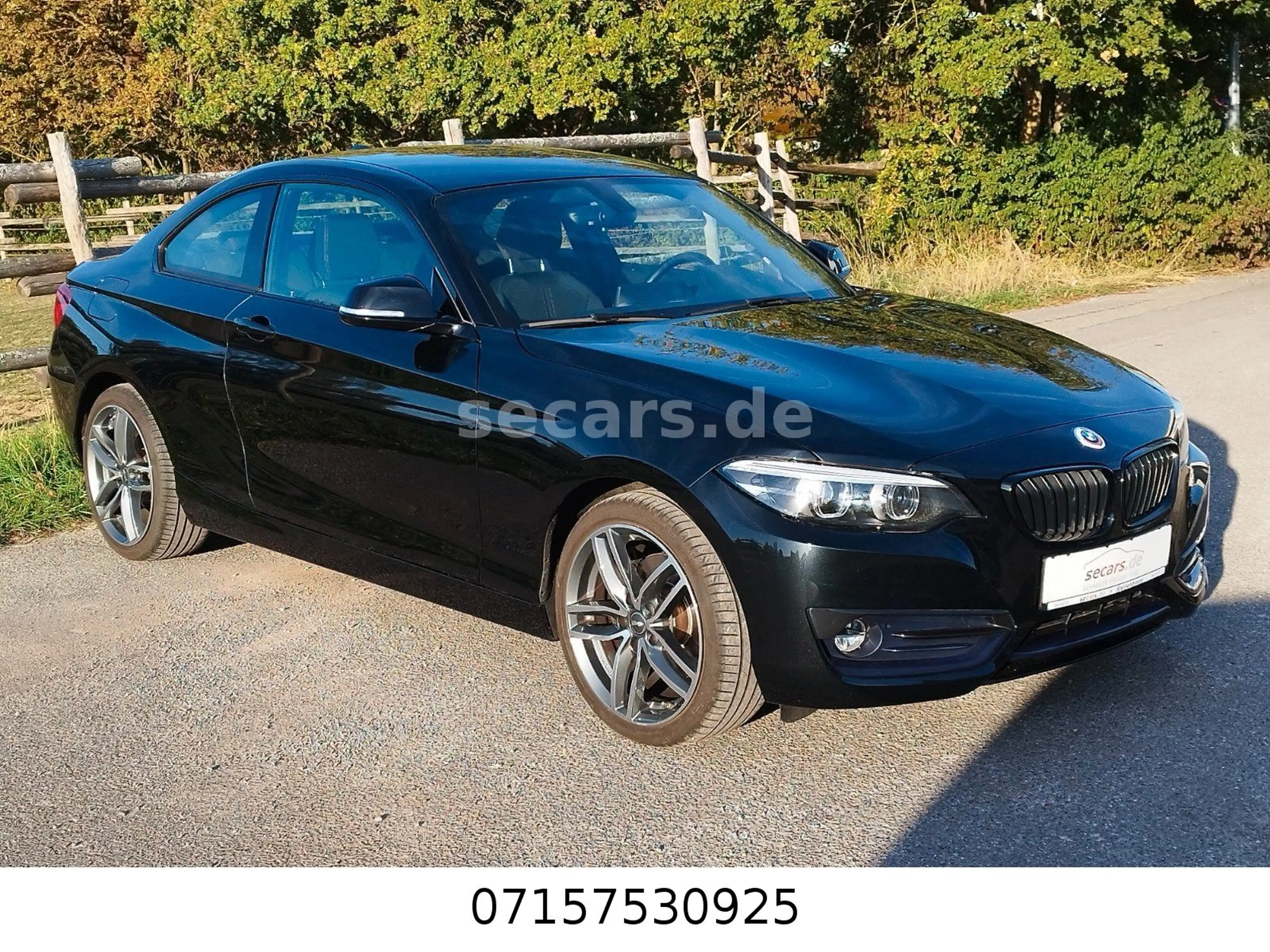 BMW 220 i Coupé Aut SportL NaviPro RFK 18" LED Alarm — photo 3