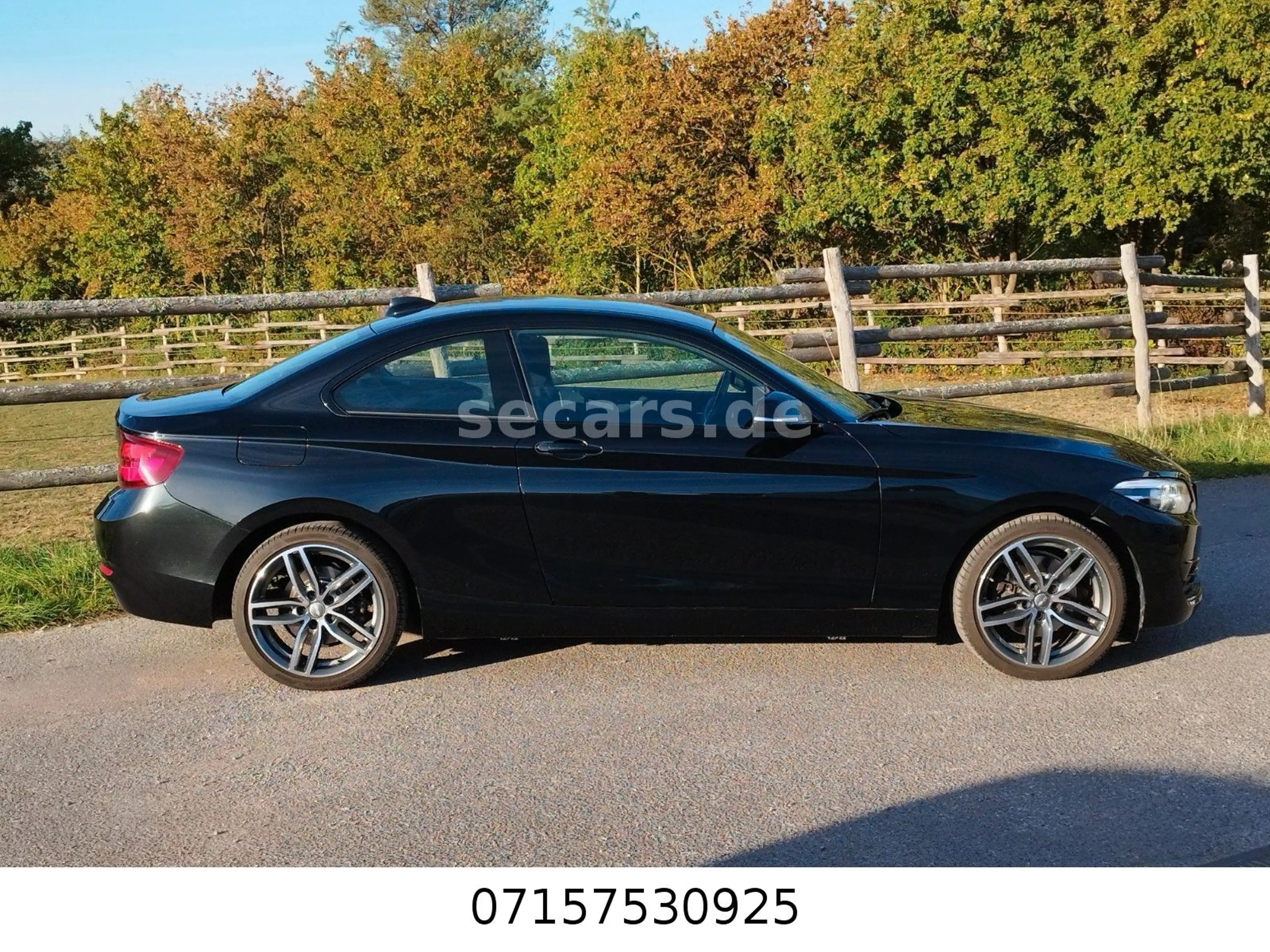 BMW 220 i Coupé Aut SportL NaviPro RFK 18" LED Alarm — photo 4