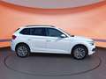 Skoda Kamiq KAMIQ AMB 1.0 TSI 95-PS Weiß - thumbnail 5