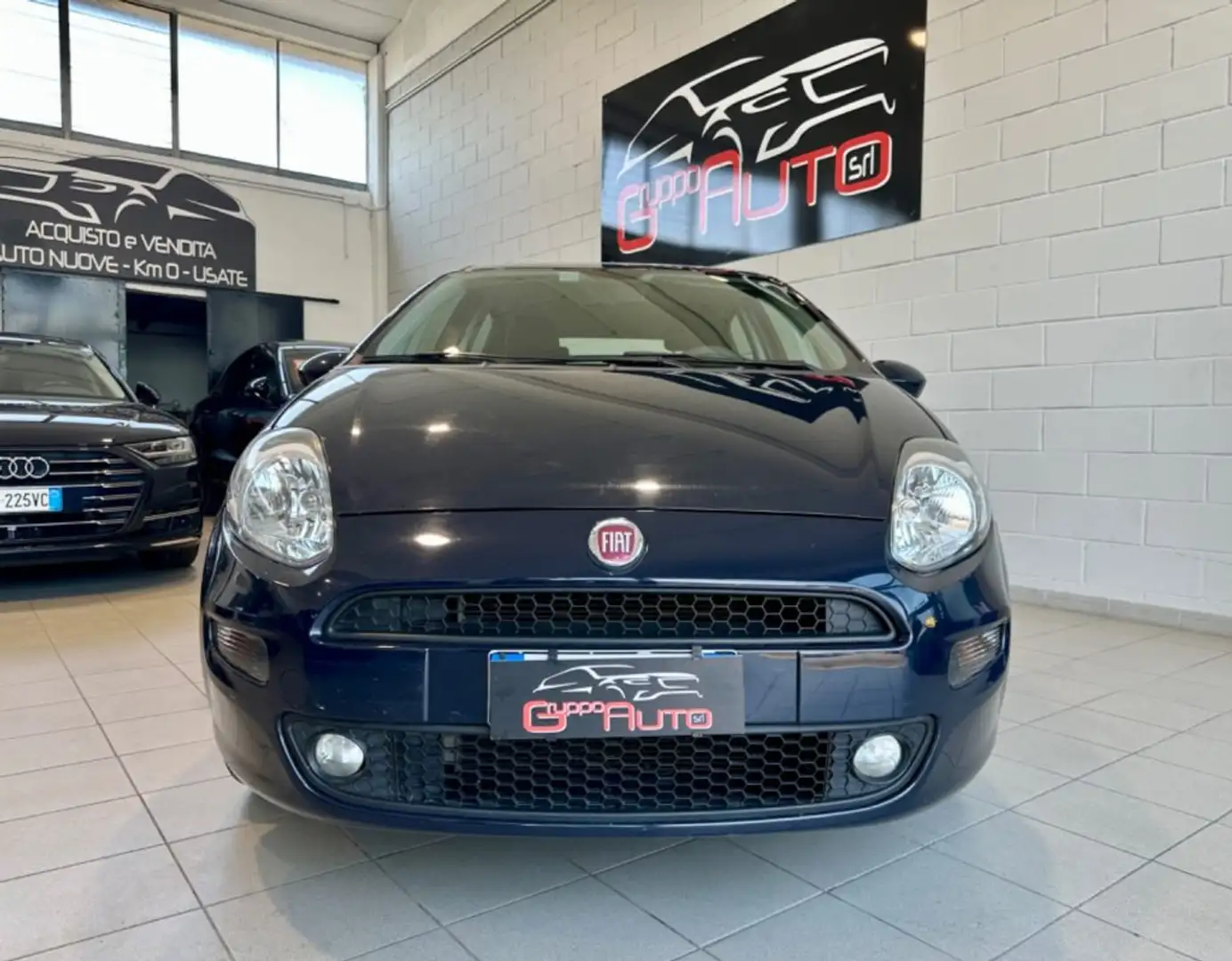 Fiat Punto 1.2 8V 5p. Young *NEOPATENTATI**DISTRIBUZIONE OK* Blu/Azzurro - 2