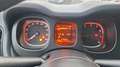 Fiat Panda Panda III 2021 Cross 1.0 hybrid City Cross s Verde - thumbnail 5