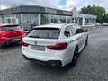 BMW 530 d xDrive M Sport,Leder,LED,Pano,20-Zoll Blanc - thumbnail 5