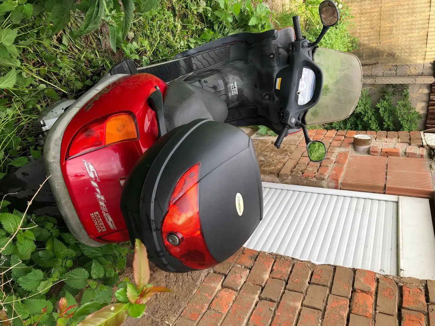 Honda Pantheon 125 Red - 2